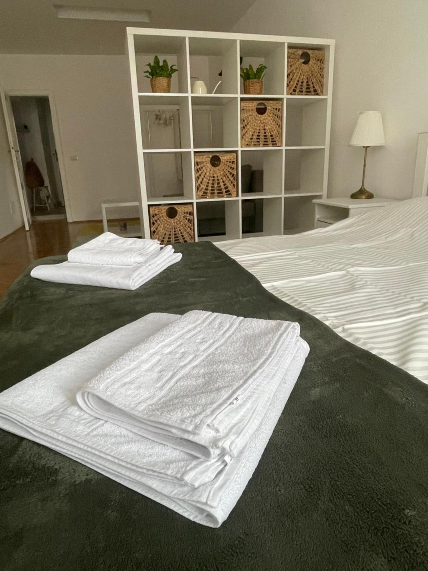 Cozy Stay Brašov Exteriér fotografie