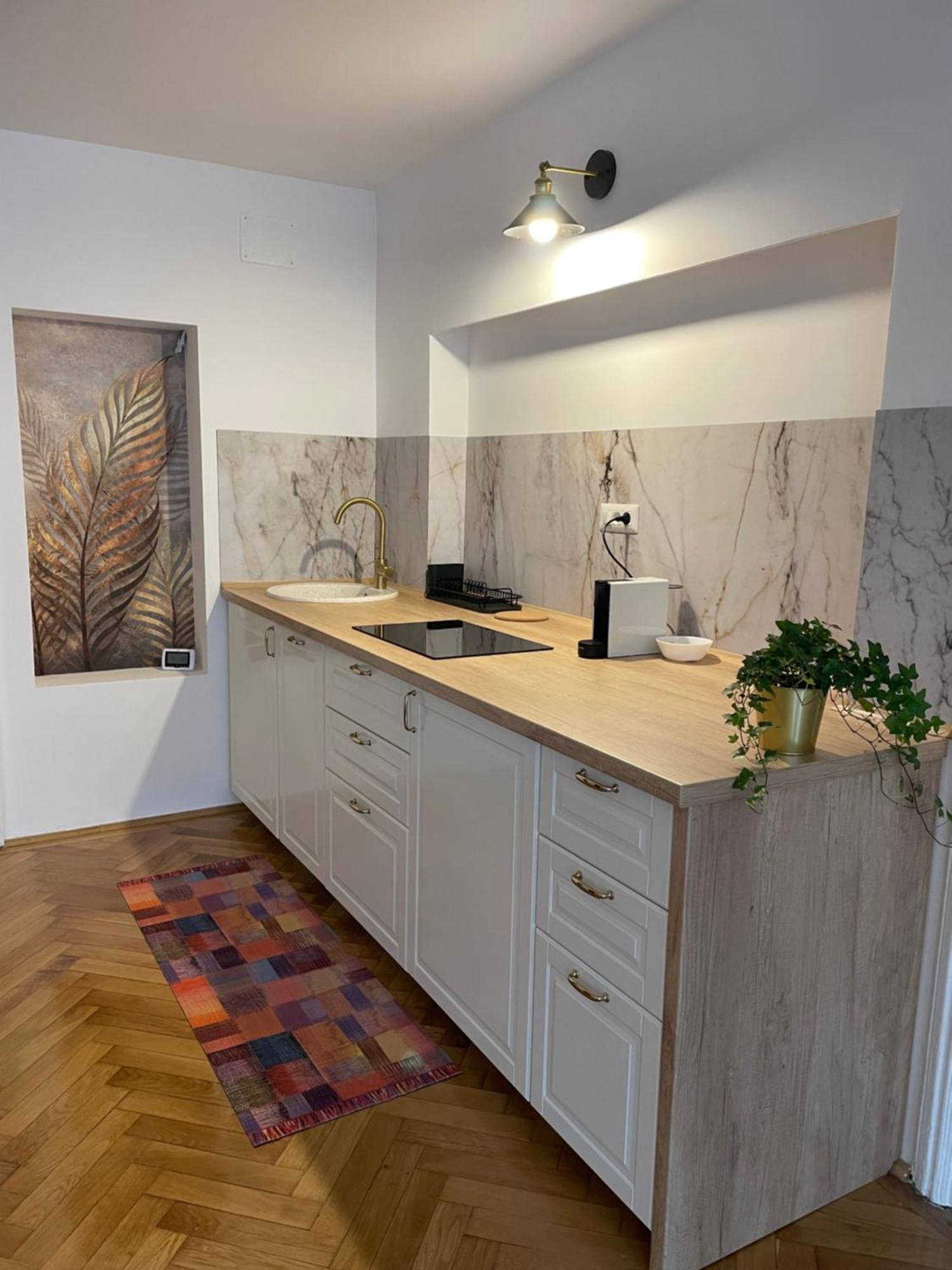 Cozy Stay Brašov Exteriér fotografie